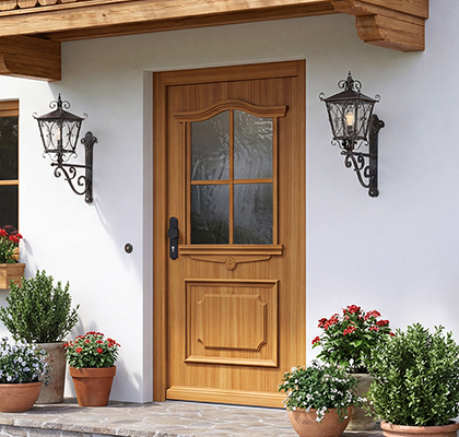 Historicna Vhodna vrata