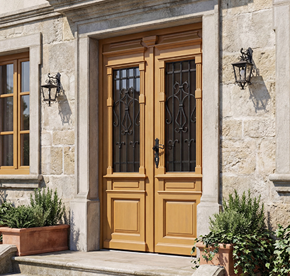 Historicna Vhodna vrata